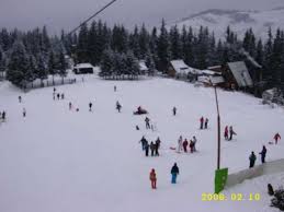 images (29)